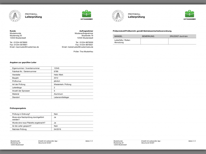 Auzug auf einem Prüfbericht für die Prüfung von Leitern bzw. Leiterprotokoll